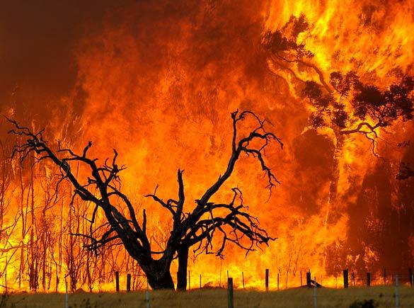 آتش سوزی در جزيره ساموس يونان,اخبار حوادث,خبرهای حوادث,حوادث امروز