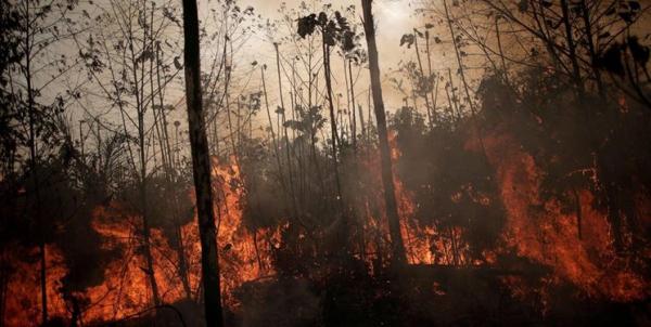 آتش‌سوزی‌ جنگل‌ها,اخبار اجتماعی,خبرهای اجتماعی,محیط زیست