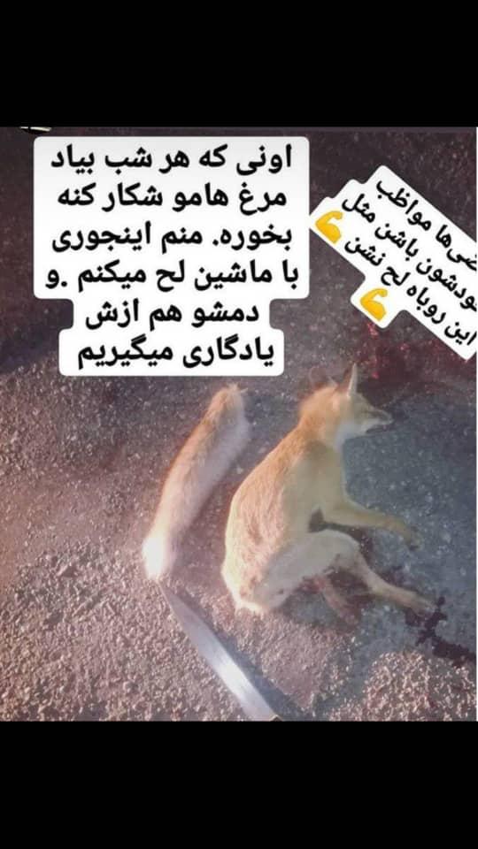نیروزی انتظامی ایران نیروزی انتظامی ایران,اخبار حوادث,خبرهای حوادث,جرم و جنایت