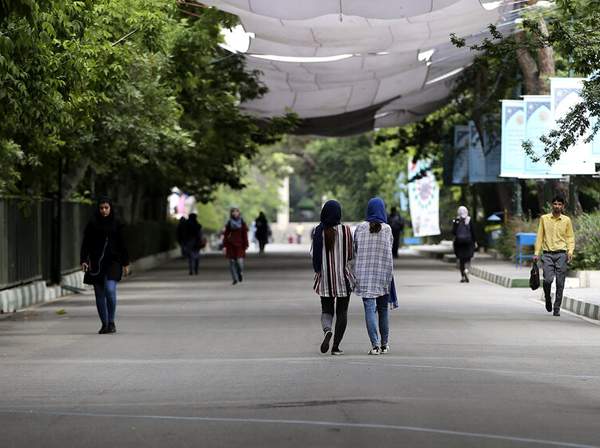 دانشگاه,اخبار سیاسی,خبرهای سیاسی,مجلس