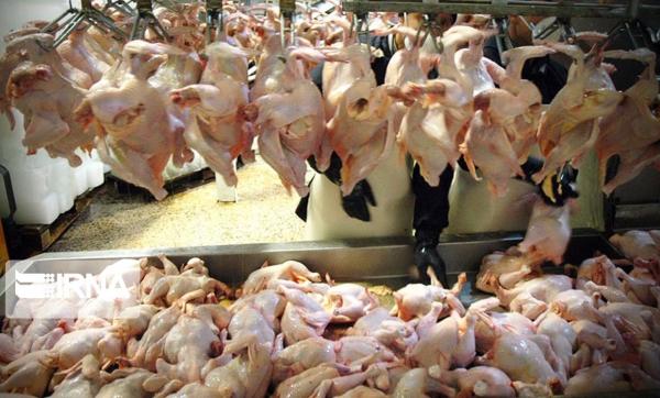 بازار گوشت مرغ,اخبار اقتصادی,خبرهای اقتصادی,کشت و دام و صنعت