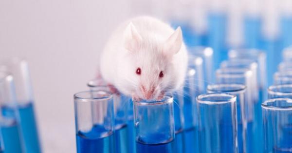 موش هاي آزمايشگاهي,اخبار اجتماعي,خبرهاي اجتماعي,محيط زيست