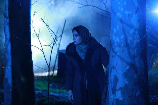 سریال خواب زده,اخبار فیلم و سینما,خبرهای فیلم و سینما,سینمای ایران