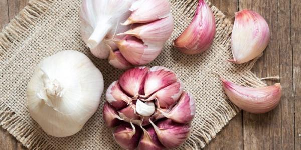 درد دندان درد دندان,اخبار پزشکی,خبرهای پزشکی,مشاوره پزشکی