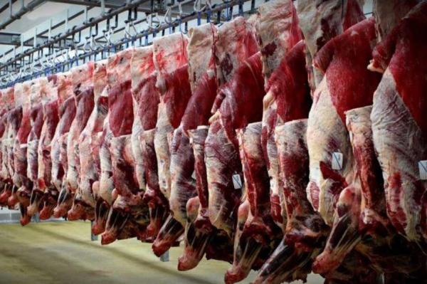 گوشت گوسفندی,اخبار اقتصادی,خبرهای اقتصادی,کشت و دام و صنعت
