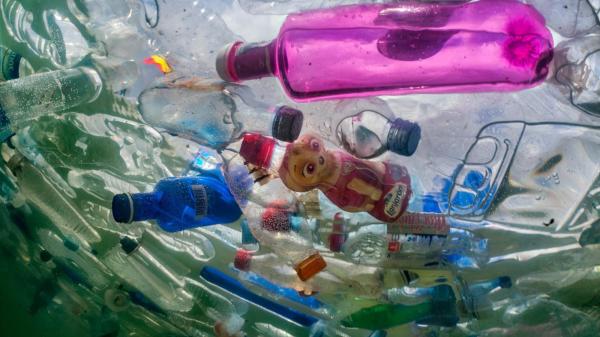زباله‌های پلاستیکی,اخبار علمی,خبرهای علمی,طبیعت و محیط زیست