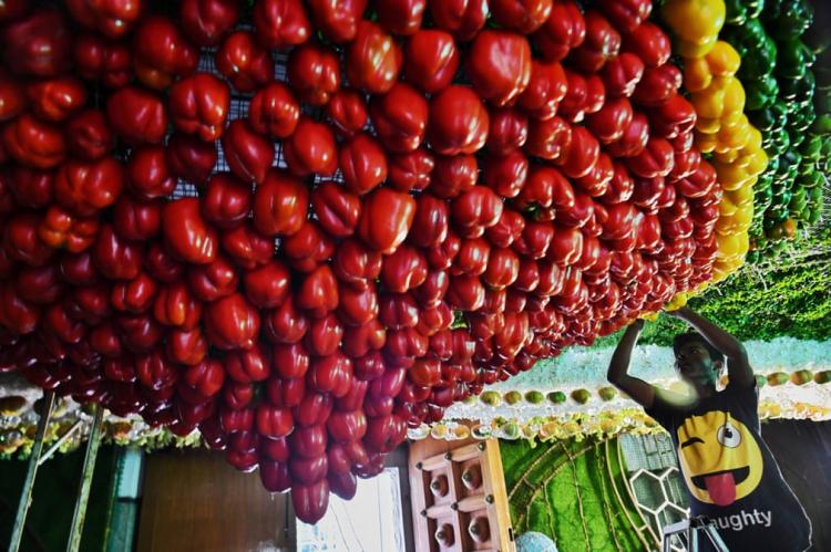 تصاویر روز 9 شهریور 1398,عکس های روز 9 شهریور 1398,تصاویر روز 31 اوت 2019