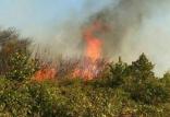 آتش‌سوزی ارسباران,اخبار اجتماعی,خبرهای اجتماعی,محیط زیست