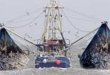 کشتی های صیادی ترال,اخبار سیاسی,خبرهای سیاسی,دفاع و امنیت