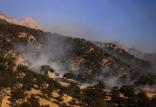 مهار آتش سوزی در نخودکار باغملک,اخبار اجتماعی,خبرهای اجتماعی,محیط زیست