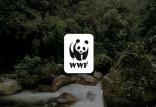 صندوق جهانی حیات وحش,اخبار اجتماعی,خبرهای اجتماعی,محیط زیست