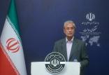 علی ربیعی,اخبار سیاسی,خبرهای سیاسی,دولت