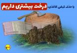 حذف قبوض کاغذی,اخبار اقتصادی,خبرهای اقتصادی,نفت و انرژی