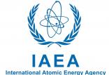 آژانس بین‌المللی انرژی اتمی,اخبار سیاسی,خبرهای سیاسی,سیاست خارجی