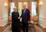 دیدار روحانی و اردوغان,اخبار سیاسی,خبرهای سیاسی,سیاست خارجی