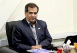 مشاور سازمان خصوصی سازی,اخبار اقتصادی,خبرهای اقتصادی,اقتصاد کلان