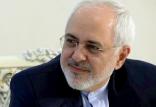 محمد جواد ظریف,اخبار سیاسی,خبرهای سیاسی,سیاست خارجی