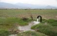 چاههای غیرمجاز در اصفهان، سالی ۴۰۰ میلیون مترمکعب آب استخراج میکنند چاههای غیرمجاز در اصفهان,اخبار اقتصادی,خبرهای اقتصادی,نفت و انرژی