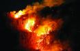 آتش سوزی در جنگل های آمازون,اخبار اجتماعی,خبرهای اجتماعی,محیط زیست
