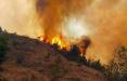 آتش سوزی جنگل های ارسباران,اخبار اجتماعی,خبرهای اجتماعی,محیط زیست