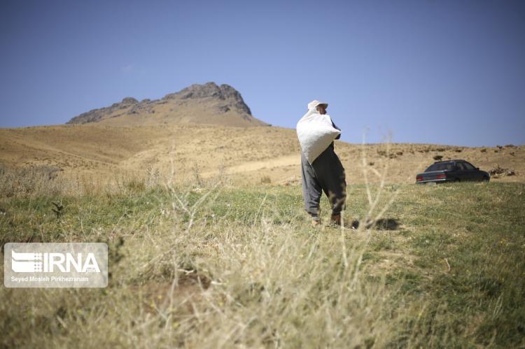 تصاویر روستای قلاته رشکه,عکس های روستای قلاته رشکه,تصاویر بازگشت اهالی به روستای قلاته رشکه