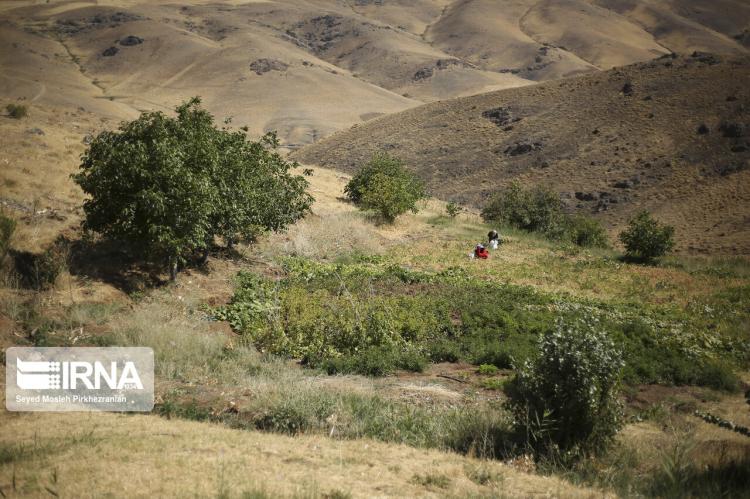 تصاویر روستای قلاته رشکه,عکس های روستای قلاته رشکه,تصاویر بازگشت اهالی به روستای قلاته رشکه