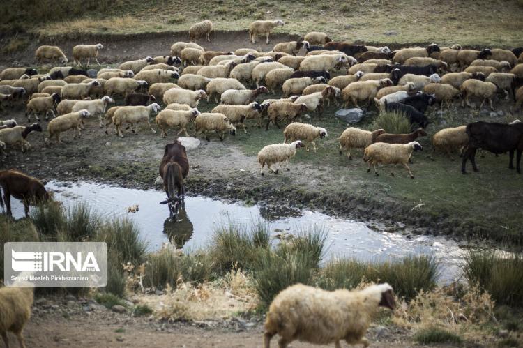 تصاویر روستای قلاته رشکه,عکس های روستای قلاته رشکه,تصاویر بازگشت اهالی به روستای قلاته رشکه