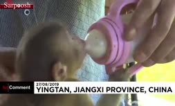 فیلم/ رفاقت بچه میمون یک ماهه با سگ‌های چینی