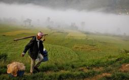 تصاویر روز 14 مهر 1398,عکس های روز 14 مهر 1398,تصاویر روز 6 اکتبر 2019