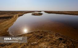 تصاویر تالاب گاوخونی