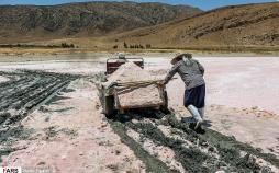 تصاویر برداشت نمک از دریاچه مهارلو,عکس های برداشت نمک از دریاچه مهارلو,تصاویر دریاچه مهارلو