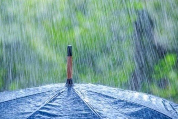 بارش باران در سواحل دریای خزر,اخبار اجتماعی,خبرهای اجتماعی,وضعیت ترافیک و آب و هوا