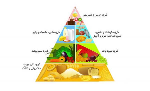 عدم صحت برخی از حقایق علمی,اخبار جالب,خبرهای جالب,خواندنی ها و دیدنی ها