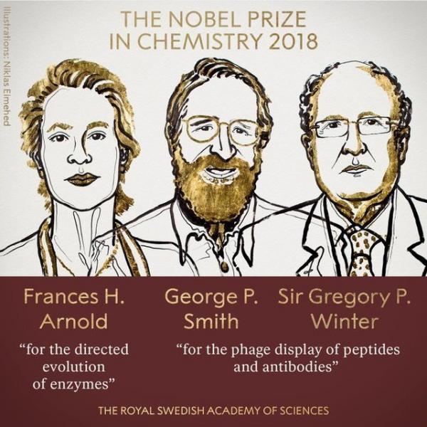مراسم نوبل ۲۰۱۹,اخبار علمی,خبرهای علمی,پژوهش