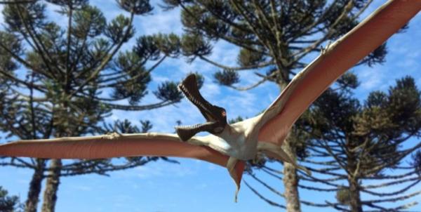 کشف فسیل خزنده پرنده در استرالیا,اخبار علمی,خبرهای علمی,طبیعت و محیط زیست