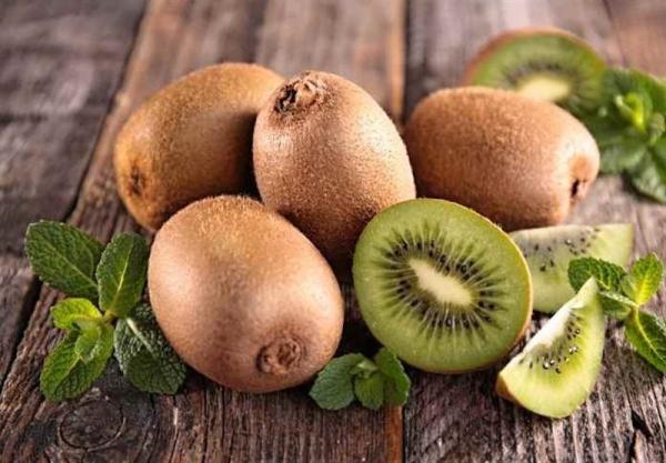 صادرات محصول کیوی,اخبار اقتصادی,خبرهای اقتصادی,کشت و دام و صنعت