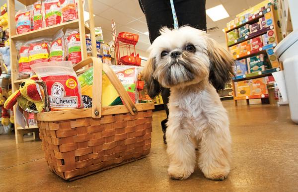 پلمپ مغازه‌های فروش غذای سگ,اخبار اجتماعی,خبرهای اجتماعی,حقوقی انتظامی