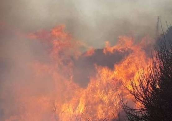 آتش سوزی گسترده در لبنان,اخبار حوادث,خبرهای حوادث,حوادث امروز