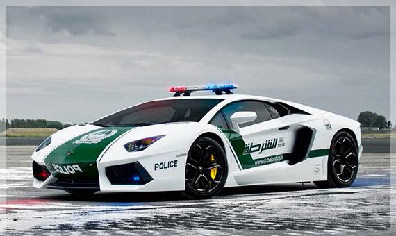 جذاب‌ترین خودروهای پلیس در دنیا,اخبار خودرو,خبرهای خودرو,مقایسه خودرو
