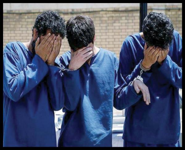 داماد تهرانی دزد,اخبار حوادث,خبرهای حوادث,جرم و جنایت