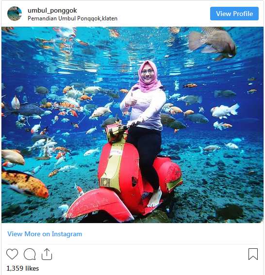 سلفی‌های زیر آب در مکانی شگفت انگیز,اخبار جالب,خبرهای جالب,خواندنی ها و دیدنی ها