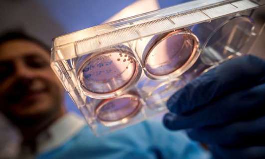 شبیه سازی مغز انسان در ایستگاه فضایی بین المللی شبیه سازی مغز انسان در ایستگاه فضایی بین المللی,اخبار پزشکی,خبرهای پزشکی,تازه های پزشکی