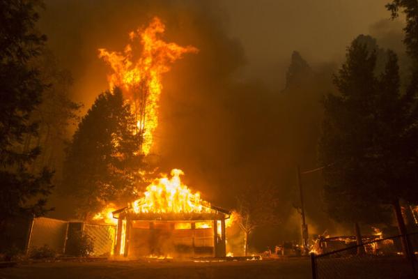 آتش سوزی جنگل,اخبار علمی,خبرهای علمی,طبیعت و محیط زیست