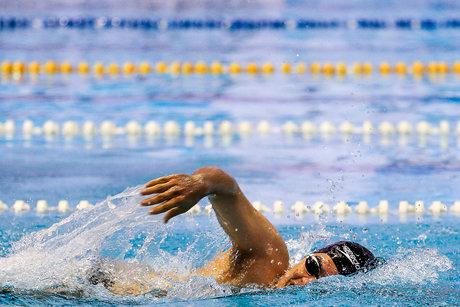 تیم ملی شنا,اخبار ورزشی,خبرهای ورزشی,ورزش