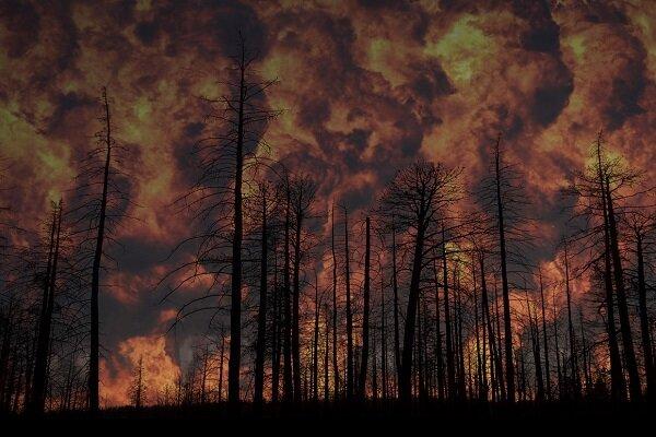 جلوگیری از آتش سوزی جنگل,اخبار علمی,خبرهای علمی,طبیعت و محیط زیست