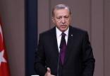 رجب طیب اردوغان,اخبار سیاسی,خبرهای سیاسی,خاورمیانه