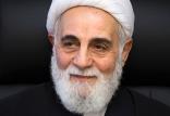 ناطق نوری,اخبار سیاسی,خبرهای سیاسی,احزاب و شخصیتها