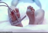 تولد اولین نوزاد در فضا,اخبار علمی,خبرهای علمی,نجوم و فضا