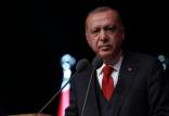 رجب طیب اردوغان,اخبار سیاسی,خبرهای سیاسی,خاورمیانه