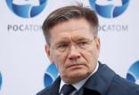 رئیس شرکت دولتی انرژی هسته‌ای روسیه,اخبار سیاسی,خبرهای سیاسی,خاورمیانه